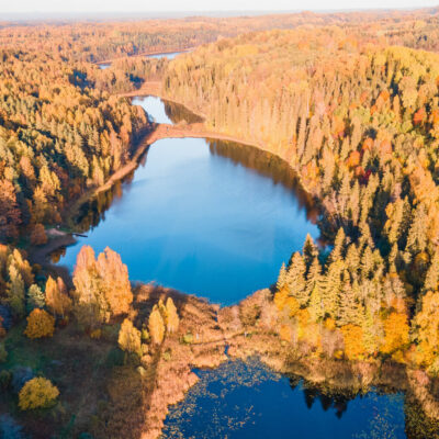 Korneti Peļļi Korneti Peļļi