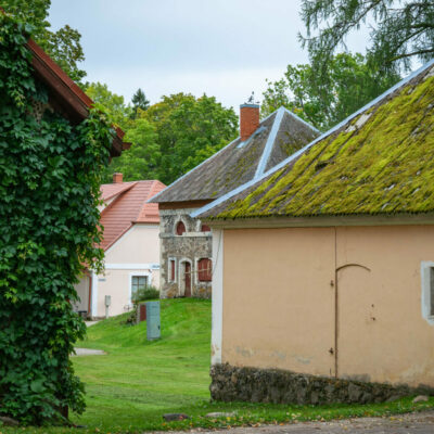 Jaunlaicenes muižas parks Jaunlaicenes muižas parks